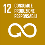 SDG-icon-IT-12