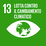 SDG-icon-IT-13